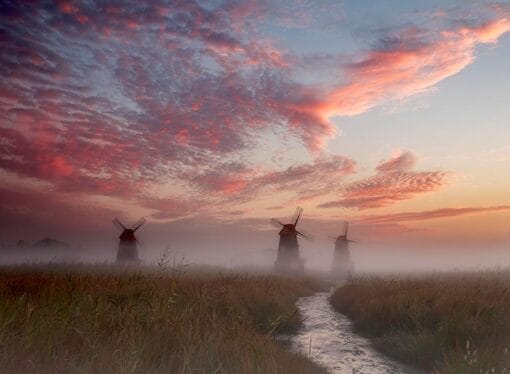 Pelada to use windmills against dengue