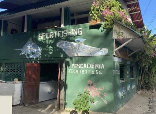 Lobo To Lead Redesign of Alex’s Fish Market