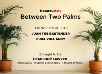 Between Two Palms: Conspiracy Edition