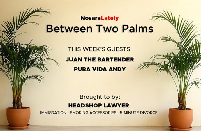 Between Two Palms: Conspiracy Edition