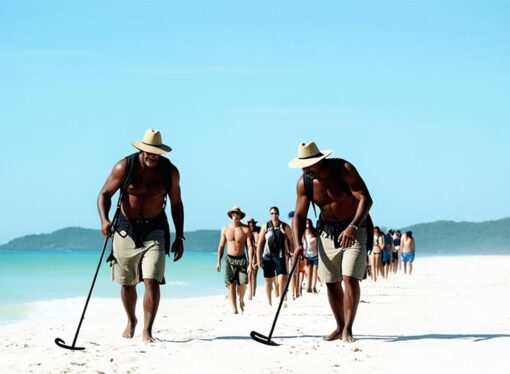 Guiones Tidepools: NCA Turtle Detection Program Begins